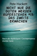 Cover-Bild zum Titel 'Nicht nur die Guten werden auferstehen #13: Das zweite Erwachen' von 'Pete Hackett'
