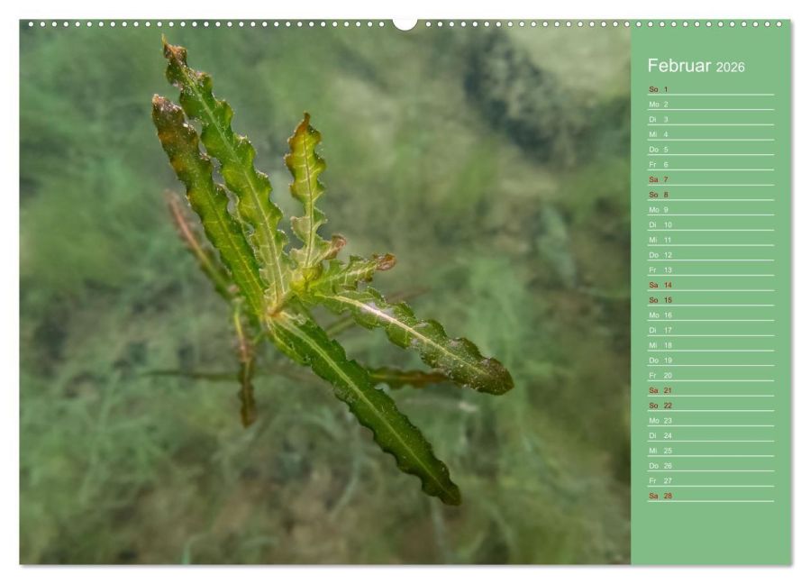 InsideView 6