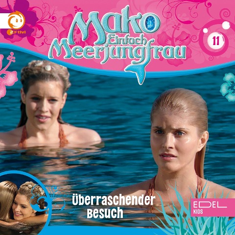 Folge 11: Überraschender Besuch (Das Original-Hörspiel zur TV-Serie) - Thomas Karallus