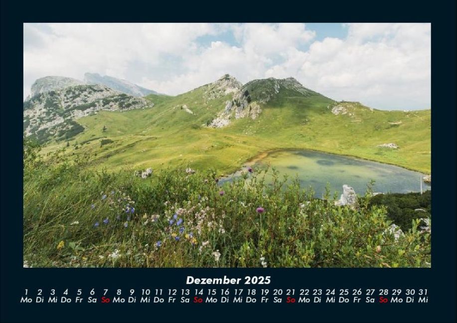 InsideView 4