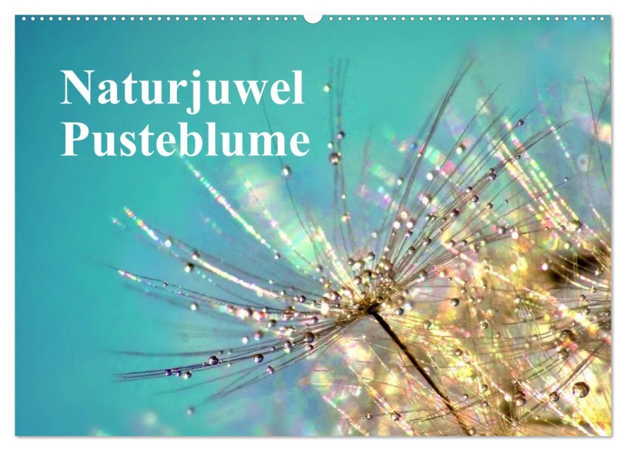 Naturjuwel Pusteblume (Wandkalender 2026 DIN A2 quer), CALVENDO Monatskalender - Julia Delgado