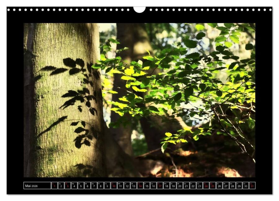 InsideView 10