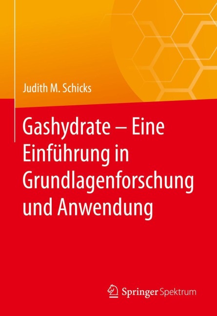 Gashydrate - Eine Einführung in Grundlagenforschung und Anwendung - Judith M. Schicks