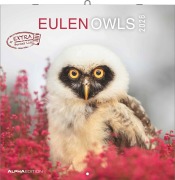 Alpha Edition - Eulen 2026 Broschürenkalender, 30x30cm, Wandkalender mit Platz für Notizen und Termine, beeindruckende Eulen-Motive, Monatsübersicht und Ferientermine DE/AT/CH - 