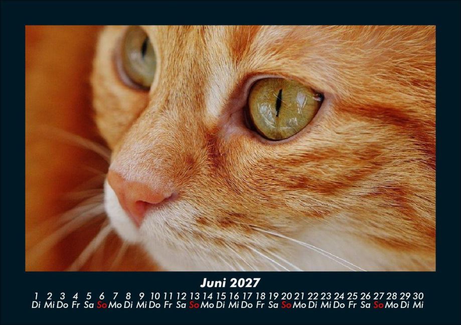 InsideView 10