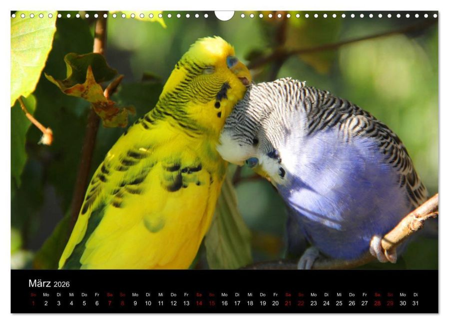InsideView 8