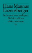 Cover-Bild zum Titel 'Im Irrgarten der Intelligenz' von 'Hans Magnus Enzensberger'