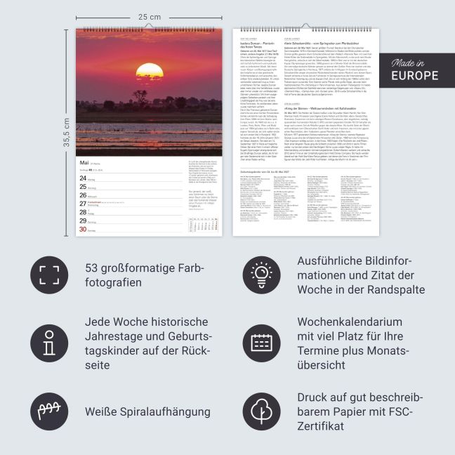 InsideView 13