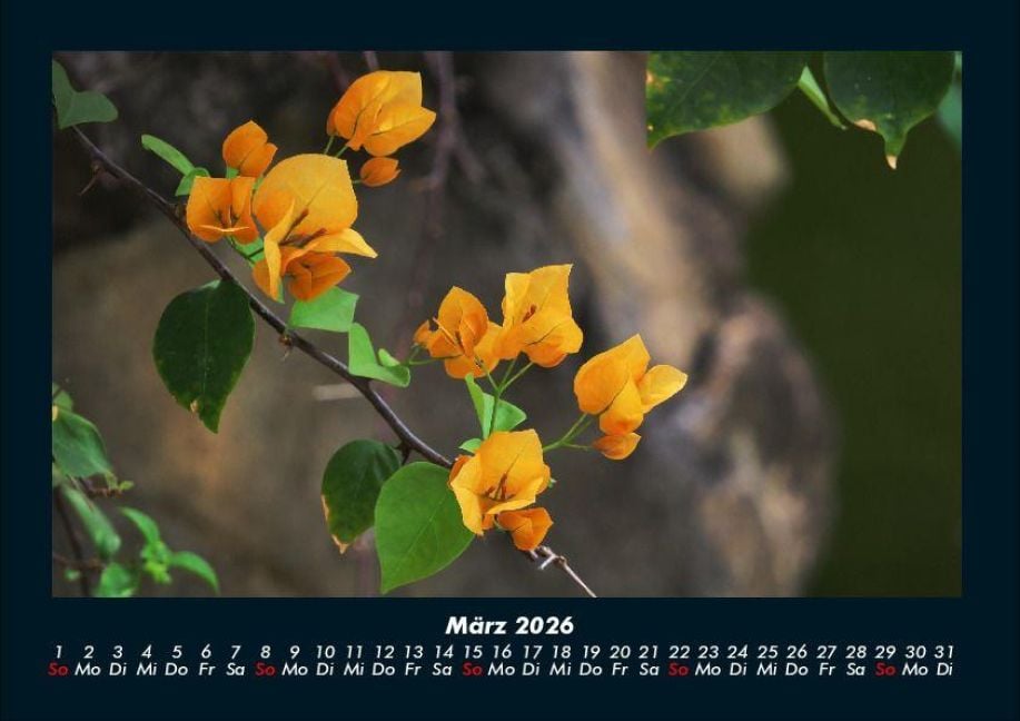 InsideView 7