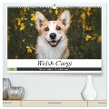 Welsh Corgi - Der Kobold unter den Hunden (hochwertiger Premium Wandkalender 2025 DIN A2 quer), Kunstdruck in Hochglanz - Maria Ahrens
