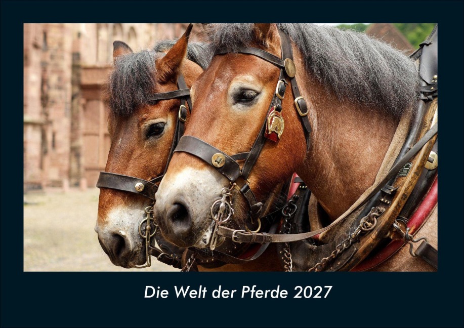 Die Welt der Pferde 2027 Fotokalender DIN A4 - Tobias Schmitt, Kevin Heber
