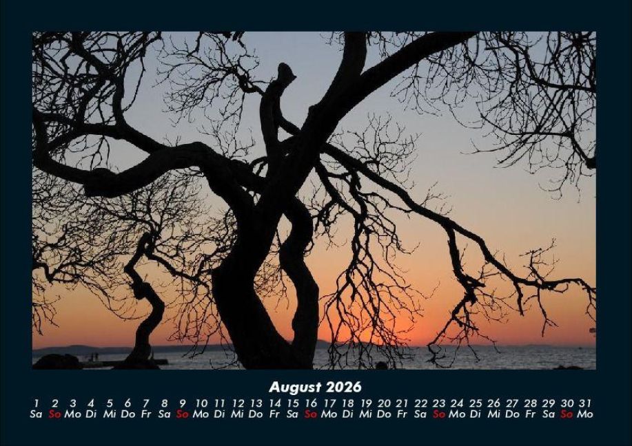 InsideView 12