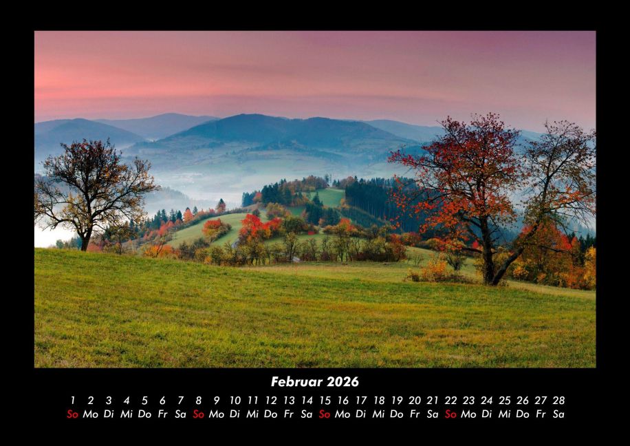 InsideView 6