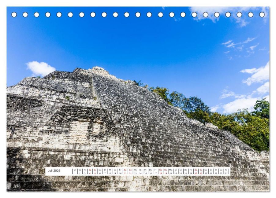 InsideView 12