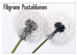 Filigrane Pusteblumen / Geburtstagskalender (Wandkalender 2025 DIN A4 quer), CALVENDO Monatskalender - SchnelleWelten SchnelleWelten