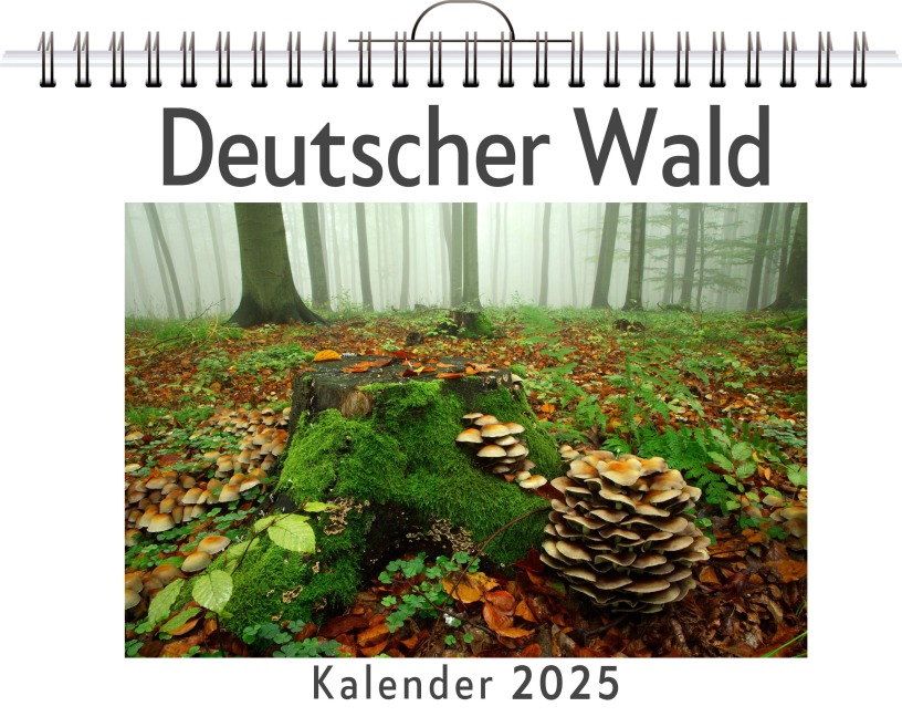 Deutscher Wald - (Wandkalender 2025, Kalender DIN A4 quer, Monatskalender im Querformat mit Kalendarium, das perfekte Geschenk) - Julia Becker