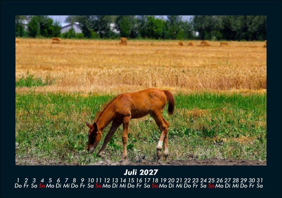 InsideView 11