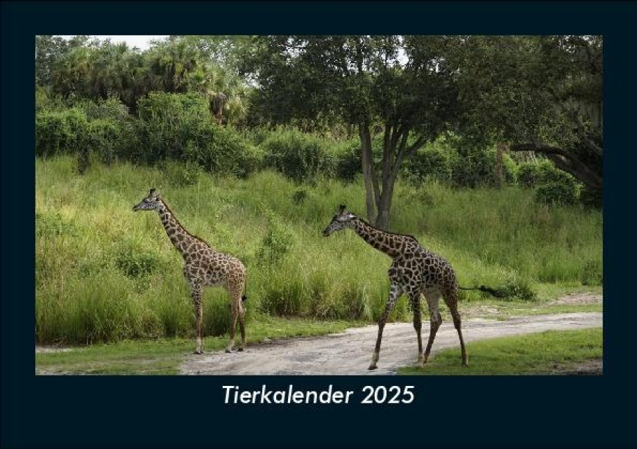 Tierkalender 2025 Fotokalender DIN A5 - Tobias Becker