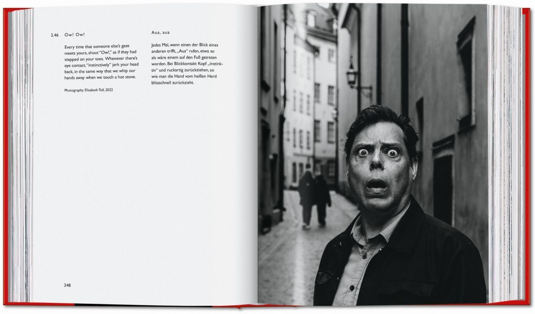 InsideView 7