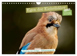 Cover-Bild zum Titel 'Egon der Eichelhäher - Durch das Jahr mit Egon - von Ostfriesenfotografie (Wandkalender 2026 DIN A4 quer), CALVENDO Monatskalender' von 'Christina Worch - Ostfriesenfotografie'