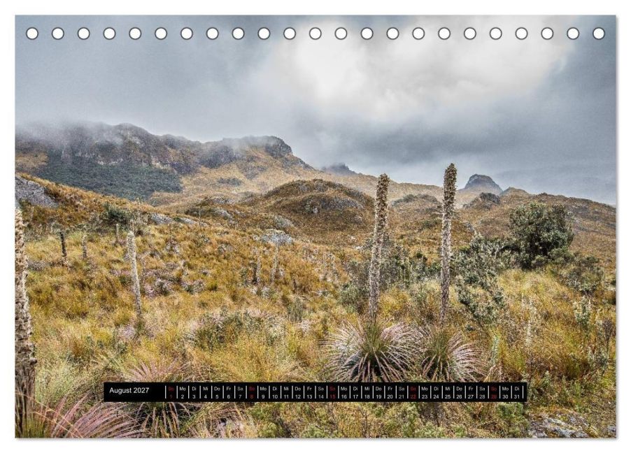InsideView 13