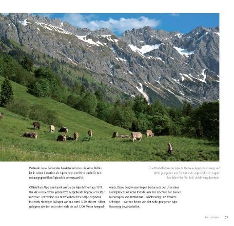 InsideView 6