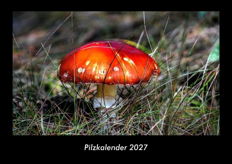 Pilzkalender 2027 Fotokalender DIN A3 - Tobias Becker