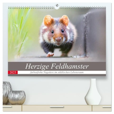 Herzige Feldhamster - farbenfrohe Nagetiere im städtischen Lebensraum (hochwertiger Premium Wandkalender 2025 DIN A2 quer), Kunstdruck in Hochglanz - Perdita Petzl