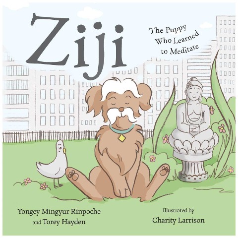 Ziji - Yongey Mingyur, Torey Hayden