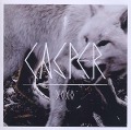 Cover-Bild zum Titel 'Xoxo' von 'Casper'