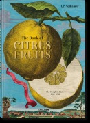 Cover-Bild zum Titel 'J. C. Volkamer. The Book of Citrus Fruits' von 'Iris Lauterbach'