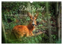 Cover-Bild zum Titel 'Der Wald - Ort der Ruhe und Besinnung (Wandkalender 2027 DIN A3 quer), CALVENDO Monatskalender' von 'Christine Wirges'