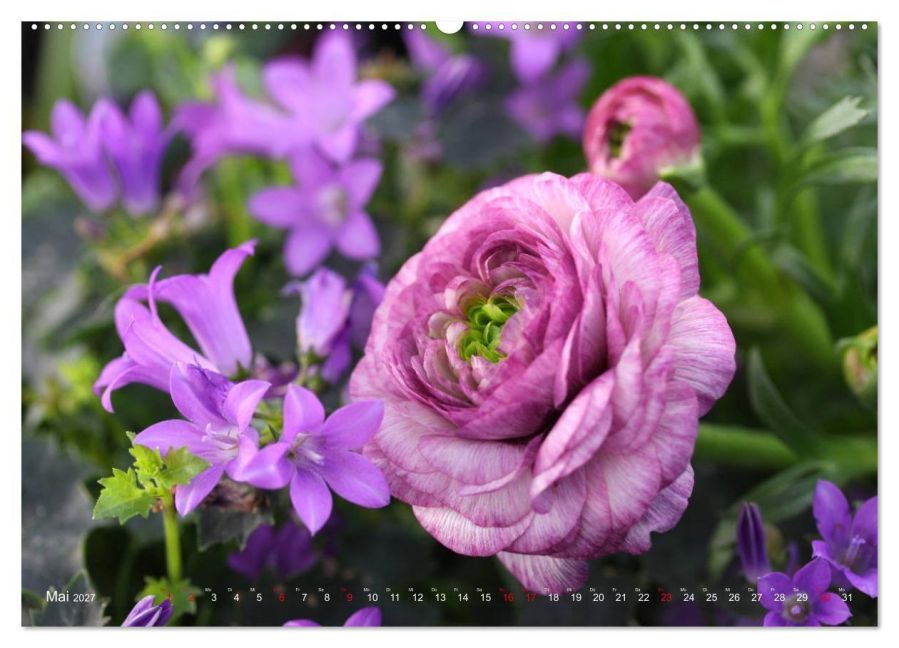 InsideView 10