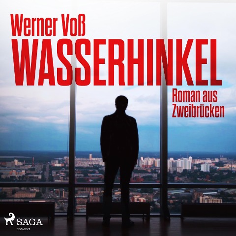 Wasserhinkel - Roman aus Zweibrücken (Ungekürzt) - Werner Voß