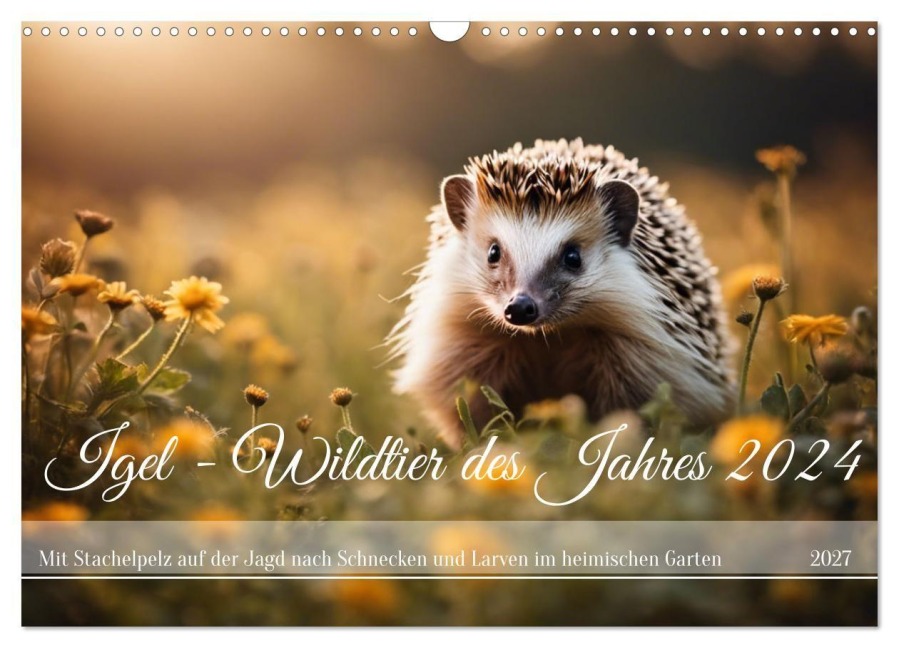 Igel - Wildtier des Jahres 2024 (Wandkalender 2027 DIN A3 quer), CALVENDO Monatskalender - Claudia Kleemann