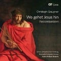 Cover-Bild zum Titel 'Passionskantaten' von 'Beuerle/Ensemble Concerto Grosso'