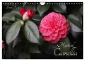 Mystical Camellia (Wall Calendar 2024 DIN A4 landscape), CALVENDO 12 Month Wall Calendar - Gisela Kruse