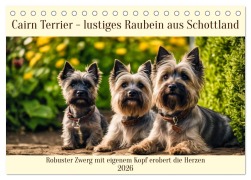 Cover-Bild zum Titel 'Cairn Terrier - lustiges Raubein aus Schottland (Tischkalender 2026 DIN A5 quer), CALVENDO Monatskalender' von 'Claudia Kleemann'