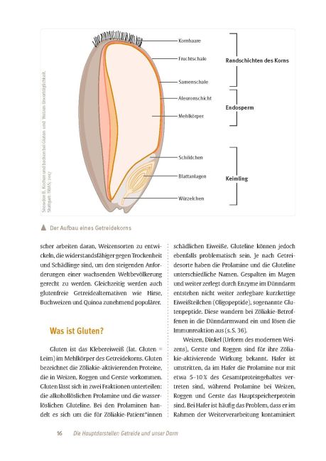 InsideView 15