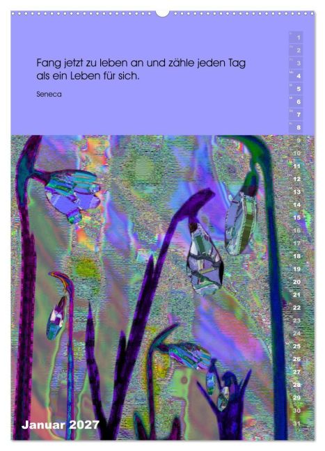 InsideView 5