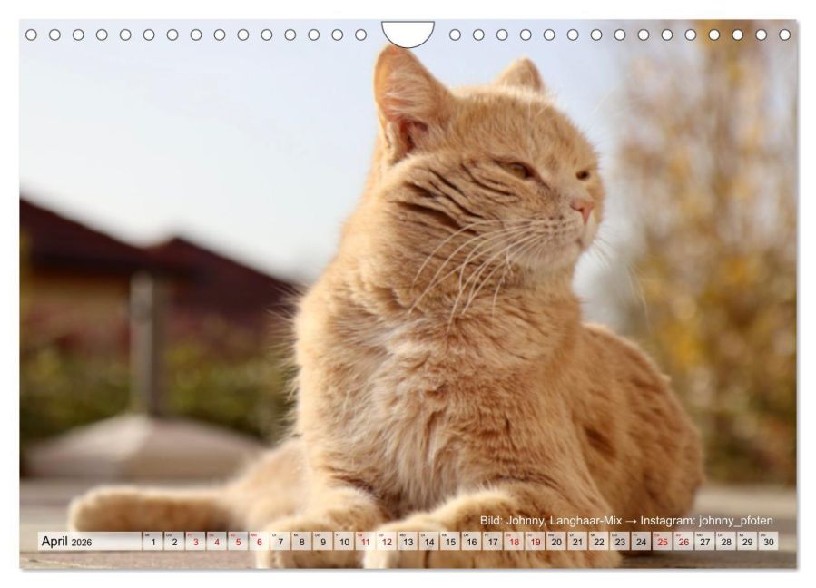 InsideView 9