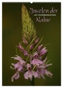 Juwelen der Natur - Ein Orchideensommer (Wandkalender 2026 DIN A2 hoch), CALVENDO Monatskalender - Dirk Stamm