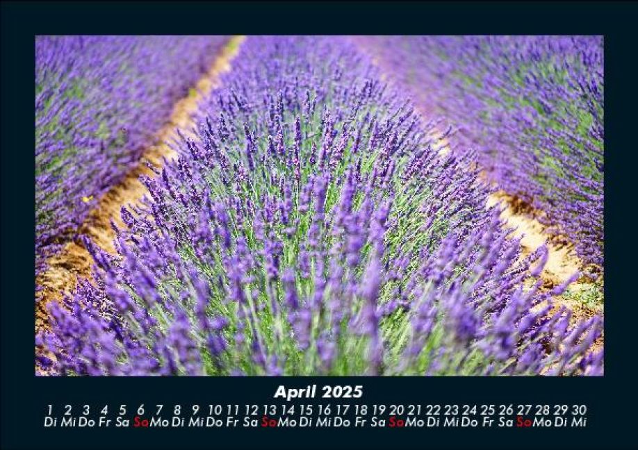 InsideView 8