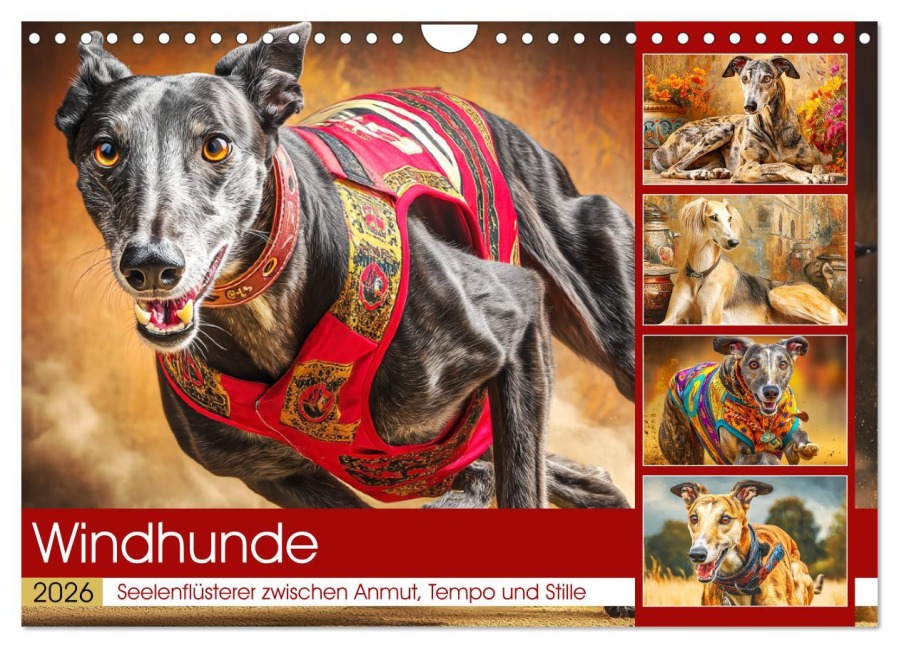 Windhunde. Seelenflüsterer zwischen Anmut, Tempo und Stille (Wandkalender 2026 DIN A4 quer), CALVENDO Monatskalender - Rose Hurley