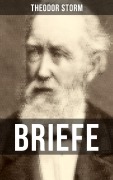 Cover-Bild zum Titel 'BRIEFE' von 'Theodor Storm'