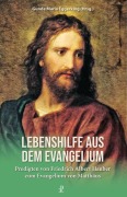 Cover-Bild zum Titel 'Lebenshilfe aus dem Evangelium' von 'Friedrich Albert Hauber'