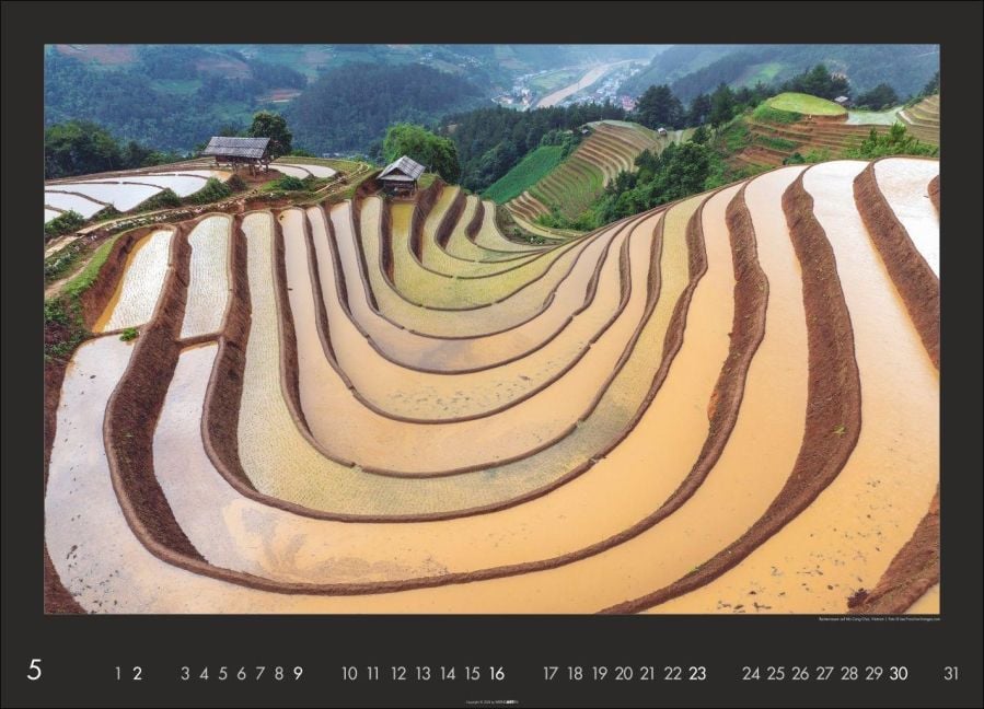 InsideView 5