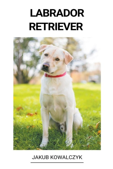 Labrador Retriever - Jakub Kowalczyk