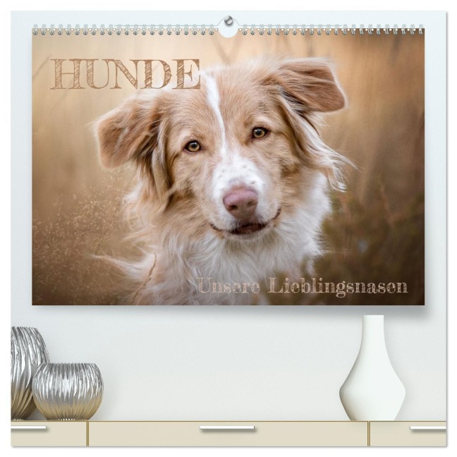 Hunde - Unsere Lieblingsnasen (hochwertiger Premium Wandkalender 2026 DIN A2 quer), Kunstdruck in Hochglanz - Tierfotografie Andreas Kossmann