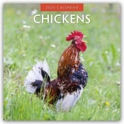 Chickens - Hühner 2026 - 16-Monatskalender - Robin Red